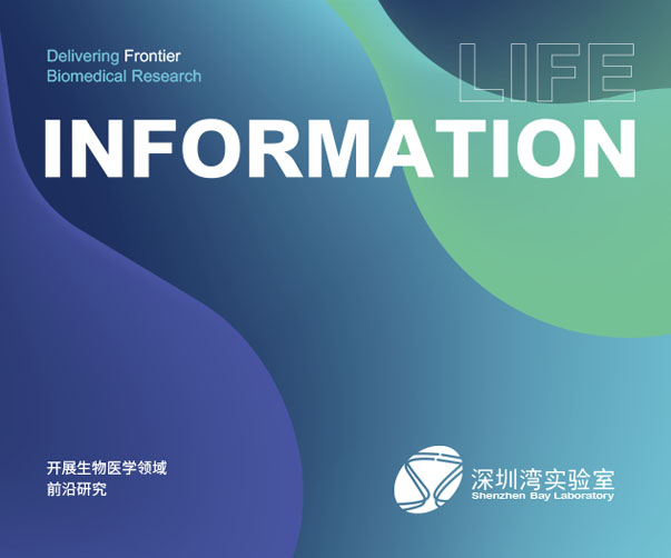 涮羊肉包裝設(shè)計