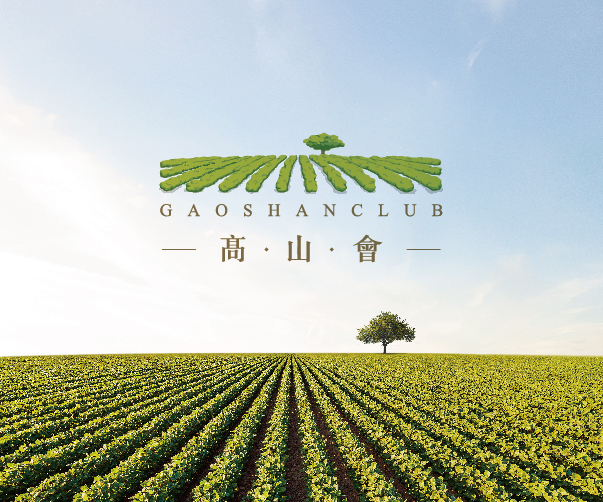 高端護(hù)膚品包裝設(shè)計(jì)：奢華與可持續(xù)的平衡藝術(shù)